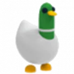 Pato tonto de Adopt Me!
