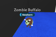 Búfalo zombi