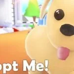 ADOPT ME! ROBLOX ponianoel