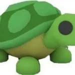 tortuga de adopt me
